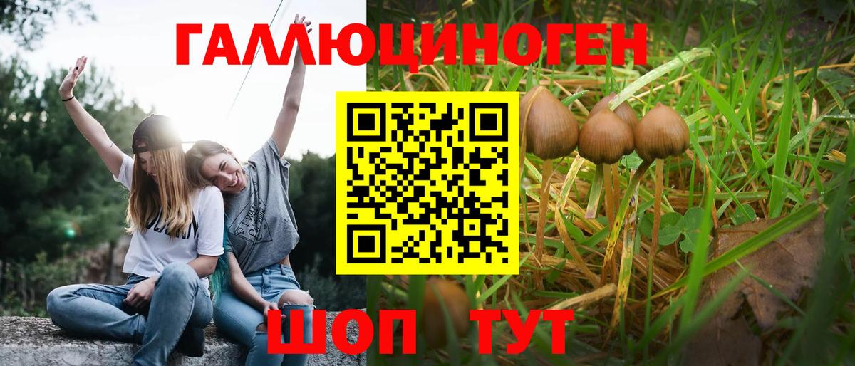 Галлюциногенные грибы MAGIC MUSHROOMS Людиново