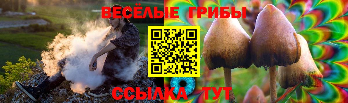 COCAIN  А ПВП СОЛЬ кристаллы  Людиново  Меф   Марихуана  ГАШИШ  Вход с VPN 
